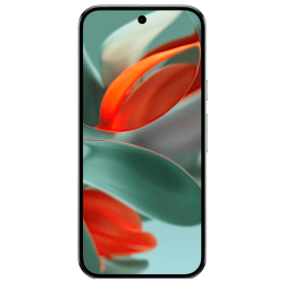 Google Pixel 9 Pro 5G 256Gb Hazel